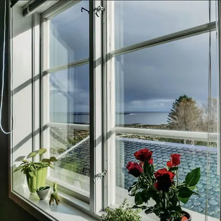 Catogarden - Boutique & Activity Centre