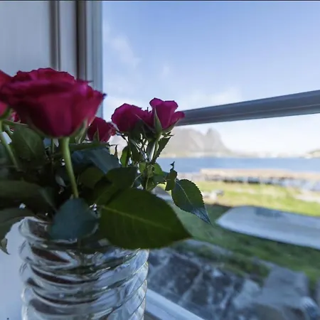 Homestay Catogarden - Boutique & Activity Centre Reine