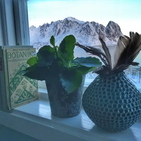 Homestay Catogarden - Boutique & Activity Centre