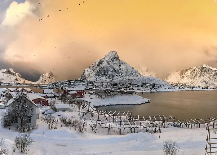 Catogården - Boutique Home&activity Centre *