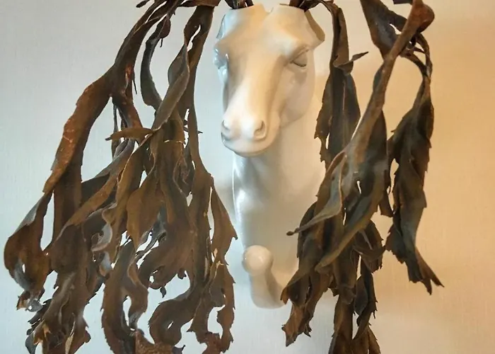 Catogarden - Boutique & Activity Centre Pansiyon *