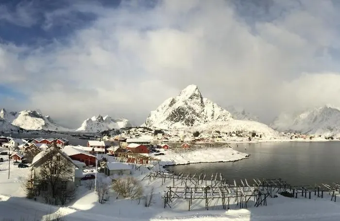 Catogarden - Boutique & Activity Centre Reine