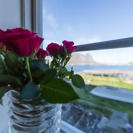 Privatunterkunft Catogarden - Boutique & Activity Centre Reine