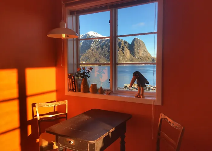 Catogarden - Boutique & Activity Centre