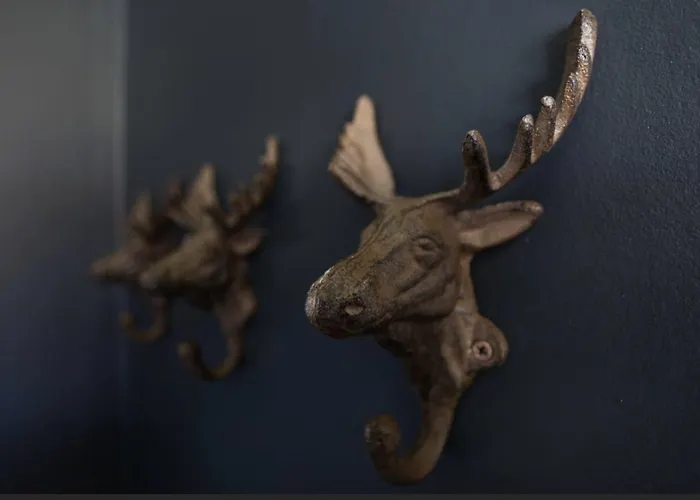 Rum i privatbostad Catogarden - Boutique & Activity Centre Reine