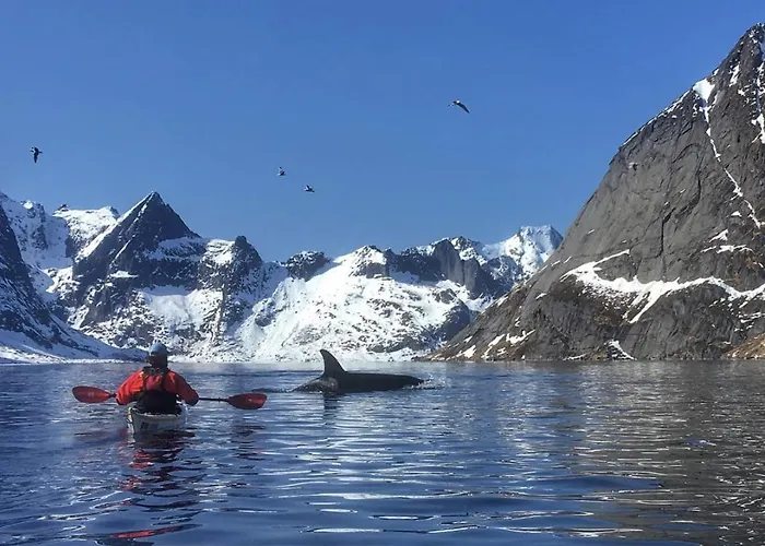 Catogarden - Boutique & Activity Centre