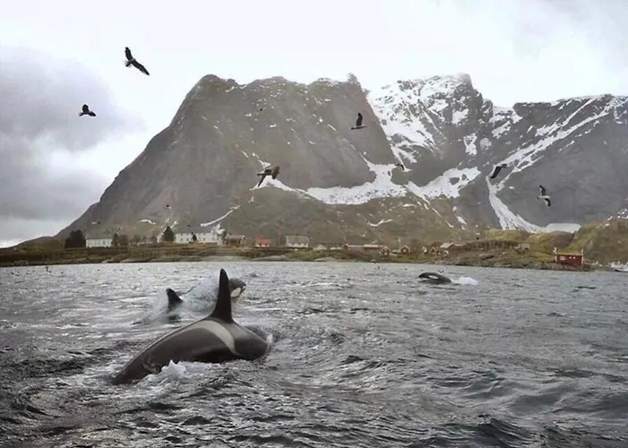 Catogarden - Boutique & Activity Centre Rum i privatbostad