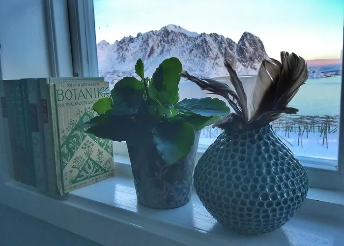 Rum i privatbostad Catogarden - Boutique & Activity Centre