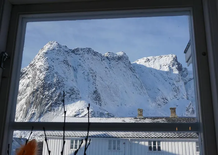 Catogarden - Boutique & Activity Centre *