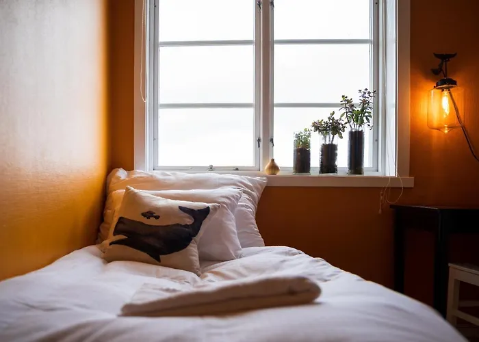 Rum i privatbostad Catogarden - Boutique & Activity Centre Reine