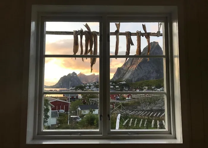 Catogarden - Boutique & Activity Centre * Reine